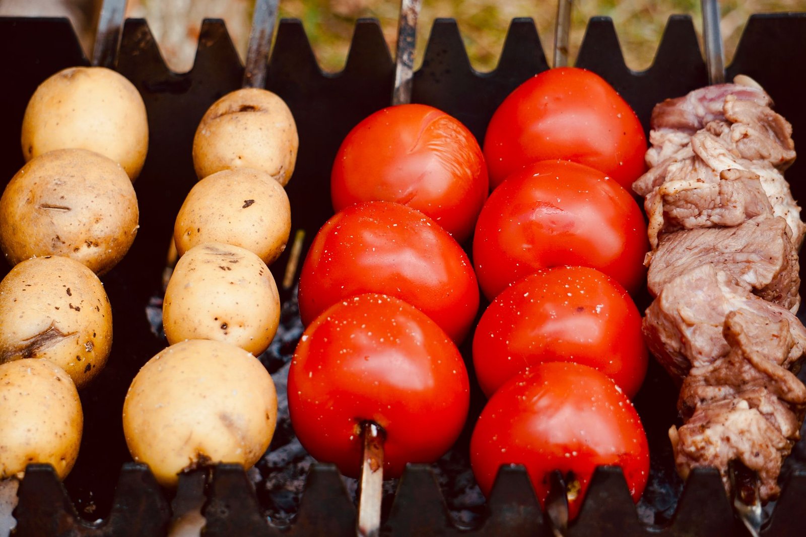 MIZBAN Catering, cuisine Persian à Montréal